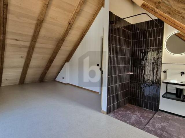 Dachwohnung mieten in Oetwil, Zürich