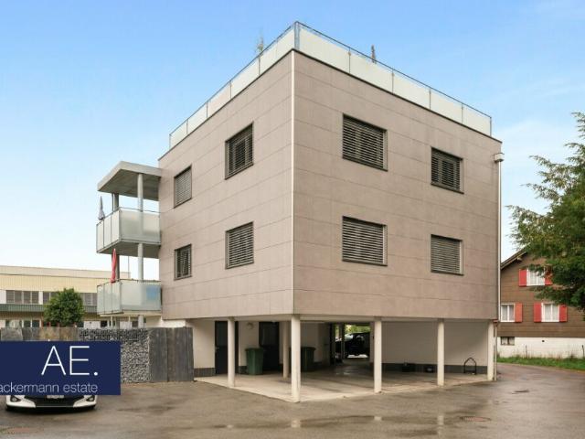 Mehrfamilienhaus kaufen in Busswil (TG), Thurgau