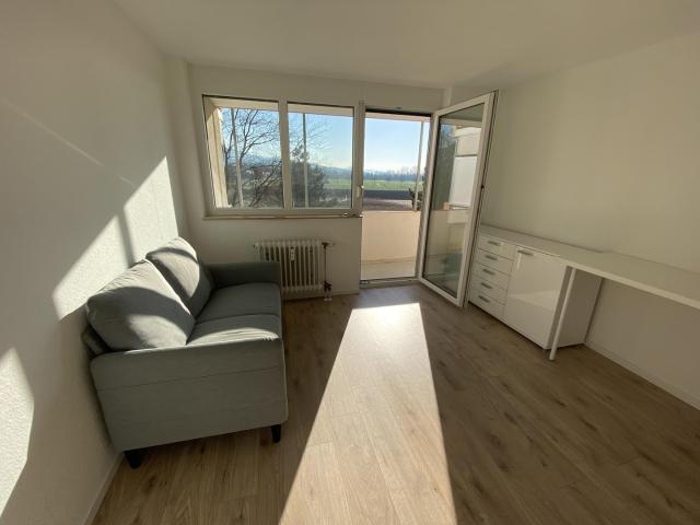 Wohnung mieten in Denzlingen, Baden-Württemberg