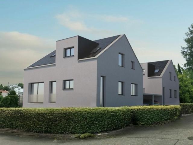 Einfamilienhaus kaufen in Niederlenz, Aargau