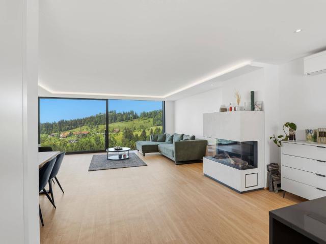 Haus kaufen in Bildstein, Vorarlberg