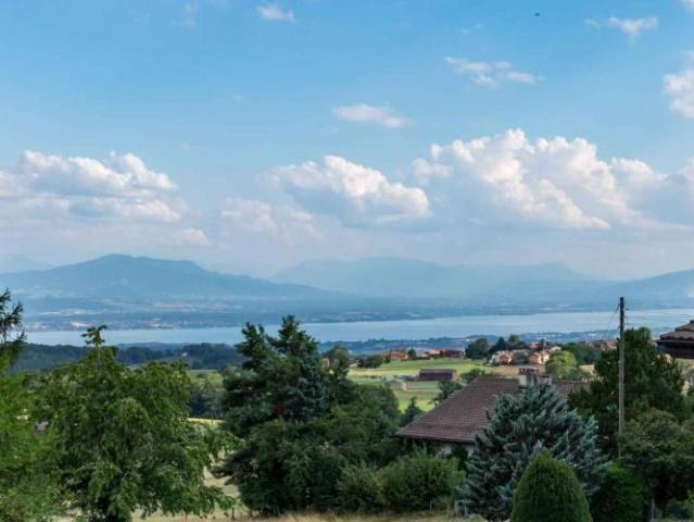 Wohnung kaufen in Le Vaud, Waadt