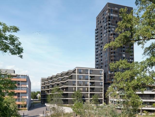 Wohnung mieten in Dübendorf, Zürich
