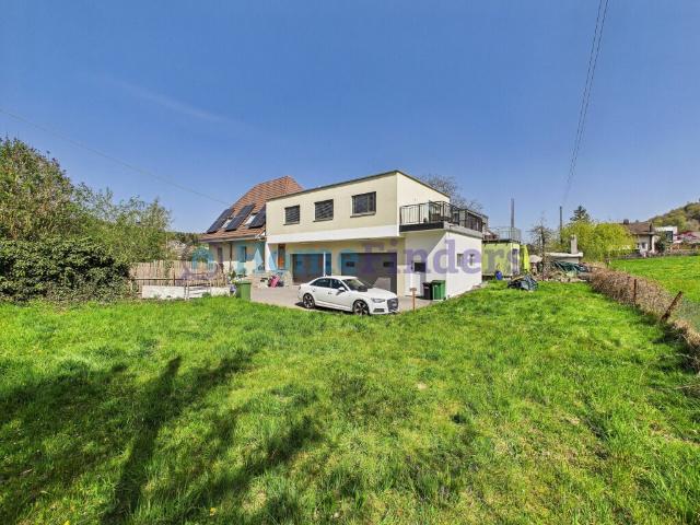 Einfamilienhaus kaufen in Safenwil, Aargau