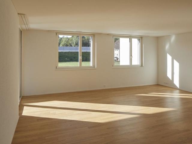 Apartment mieten in Rupperswil, Aargau
