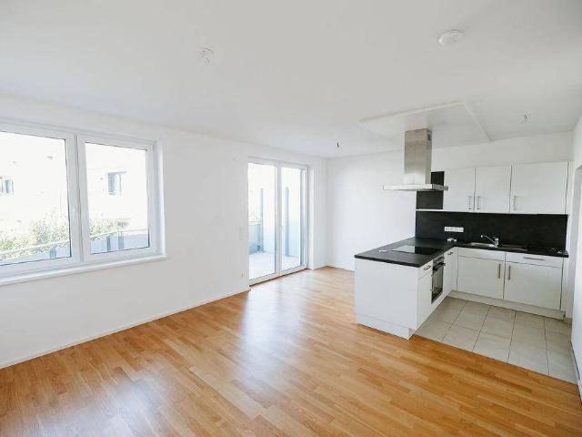 Apartment kaufen in Laxenburg, Bezirk Mödling
