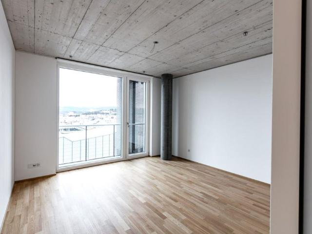 Apartment mieten in Grossbasel, Basel