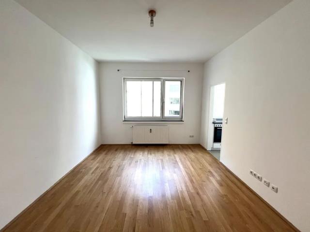 Apartment mieten in Innere Stadt, Wien
