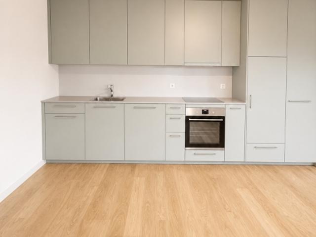 Wohnung mieten in Allschwil, Bezirk Arlesheim