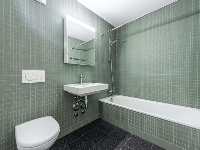 Apartment mieten in Birsfelden, Basel-Landschaft