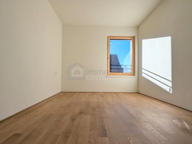 Apartment mieten in Lustenau, Bezirk Dornbirn