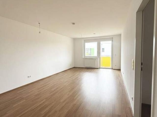 Wohnung mieten in Neustadtl an der Donau, Niederösterreich