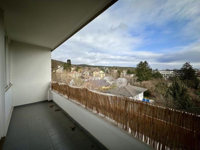 Wohnung kaufen in Baden, Niederösterreich