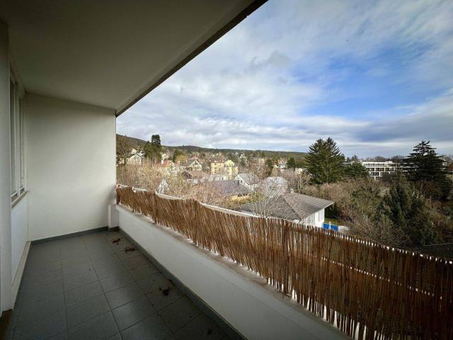 Apartment kaufen in Baden, Niederösterreich