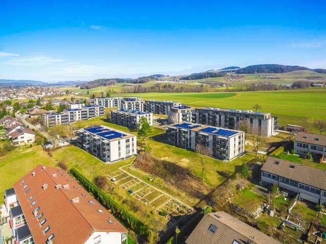 Wohnung mieten in Münsingen, Bern