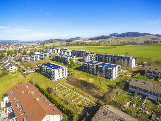 Apartment mieten in Münsingen, Bern
