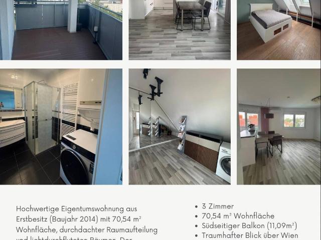 Apartment kaufen in Brunn am Gebirge, Niederösterreich