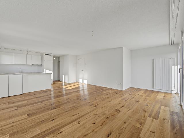Wohnung kaufen in Nottwil, Lü