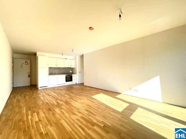 Apartment mieten in Donaustadt, Wien
