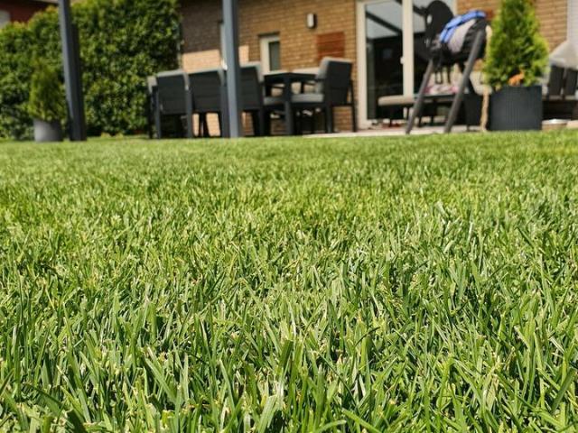 Haus kaufen in Bad Laer, Niedersachsen