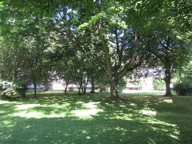 Apartment mieten in Ahlem-Badenstedt-Davenstedt, Hannover