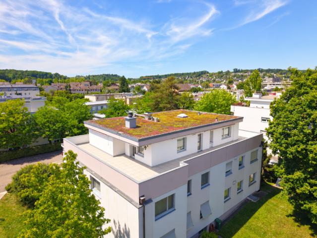 Attikawohnung kaufen in Reinach (BL), Basel-Landschaft