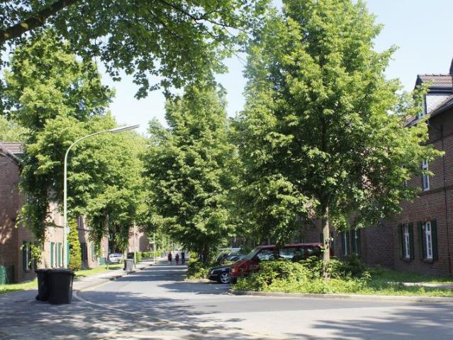 Apartment mieten in Horst, Gelsenkirchen