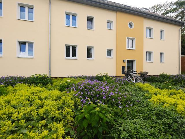 Apartment mieten in Hohenstein, Wolfsburg