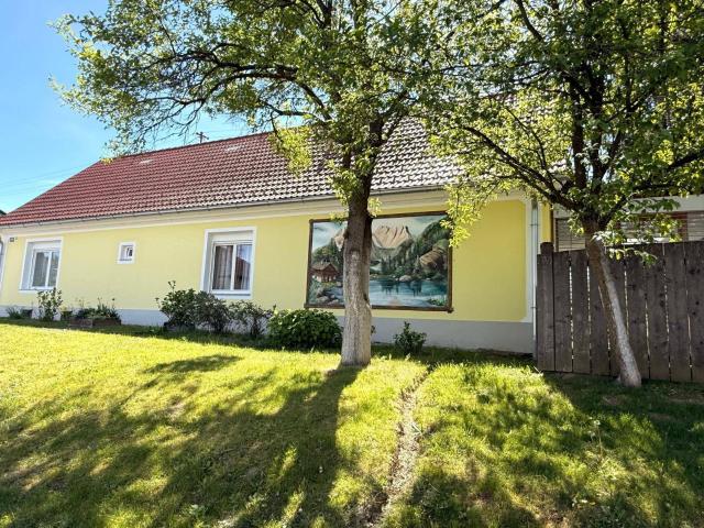 Haus kaufen in Schneidergasse, Burgauberg-Neudauberg