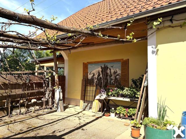 Haus kaufen in Burgauberg-Neudauberg, Burgenland
