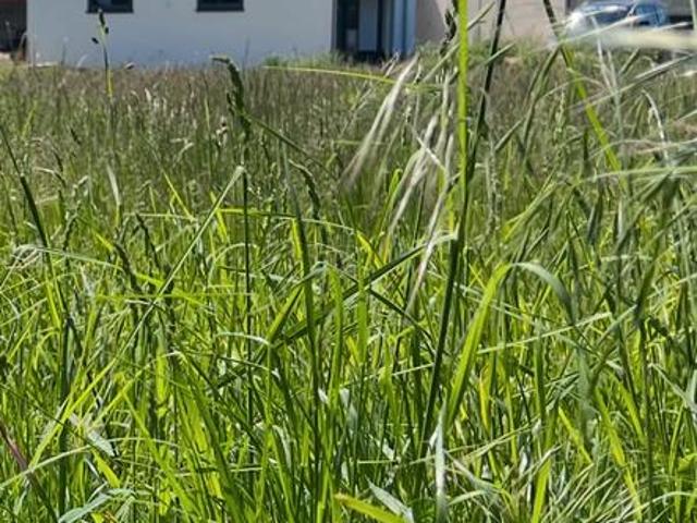 Haus kaufen in Gangelt, Nordrhein-Westfalen