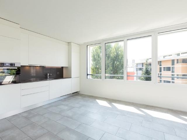 Wohnung mieten in Massagno, Tessin