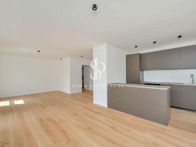 Wohnung kaufen in Massagno, Tessin