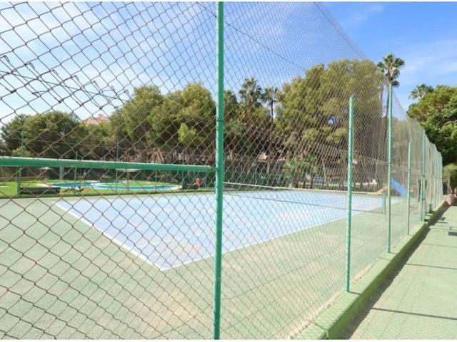 Piso en alquiler en Dehesa de Campoamor, Orihuela