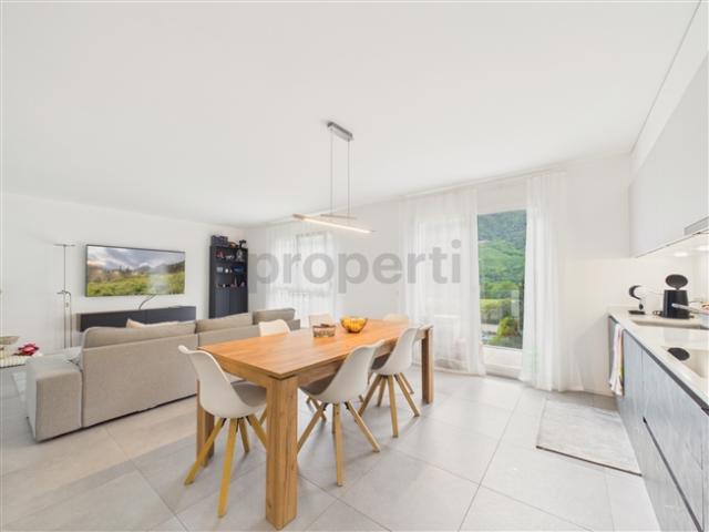 Wohnung kaufen in Bellinzona, Tessin