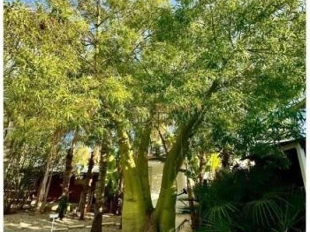 Casa en venta en la Conarda, el Camp de Túria