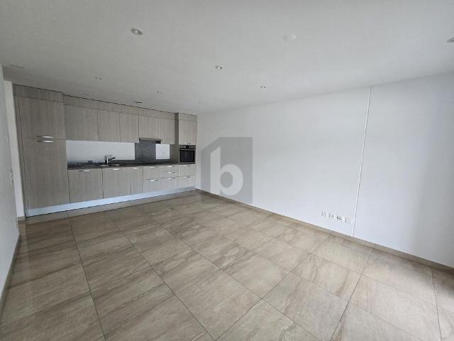 Apartment mieten in Bellinzona, Tessin