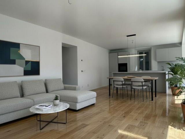 Wohnung kaufen in Mendrisio, Tessin