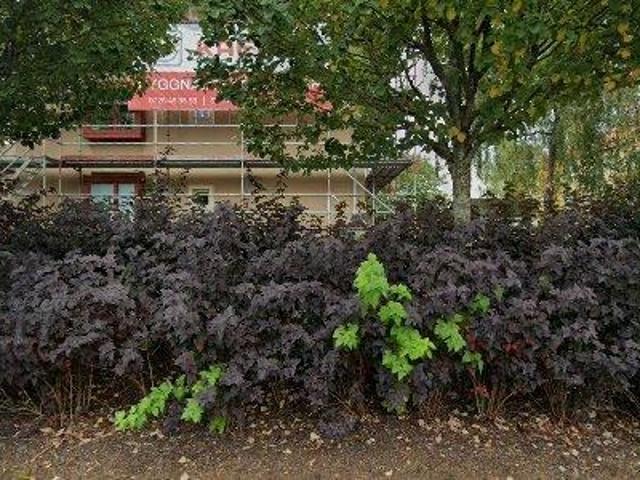 Lägenhet hyra i Trollhättan, Västra Götaland