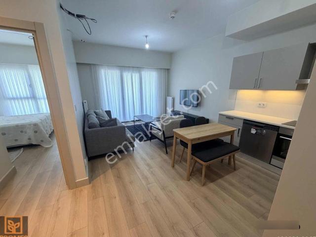 Avcilar, İstanbul içerisinde kiralık mülk