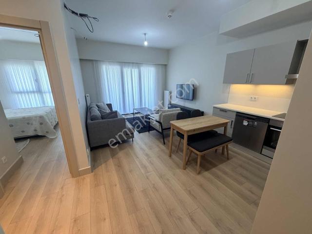 Avcilar, İstanbul içerisinde kiralık mülk