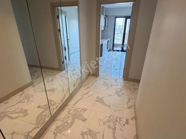 Avcilar, İstanbul içerisinde kiralık mülk