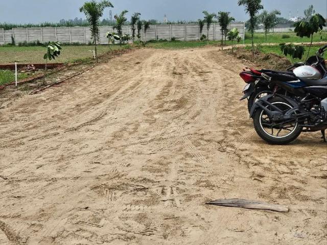 Land for sale in Jharli, Arunachal Pradesh