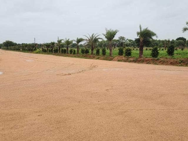 Land for sale in Jharli, Arunachal Pradesh