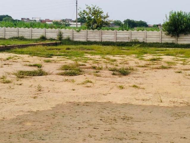 Land for sale in Jharli, Arunachal Pradesh