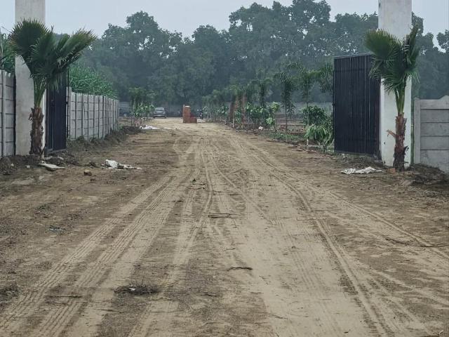 Land for sale in Jharli, Arunachal Pradesh