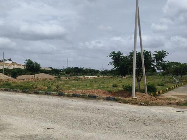 Land for sale in Jharli, Arunachal Pradesh