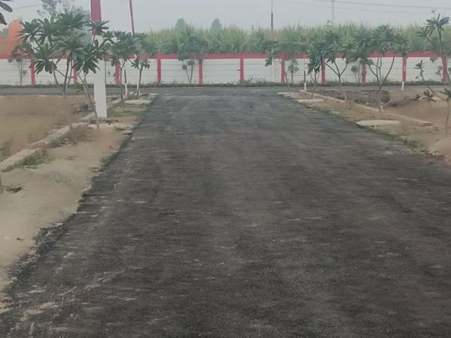 Land for sale in Jharli, Arunachal Pradesh