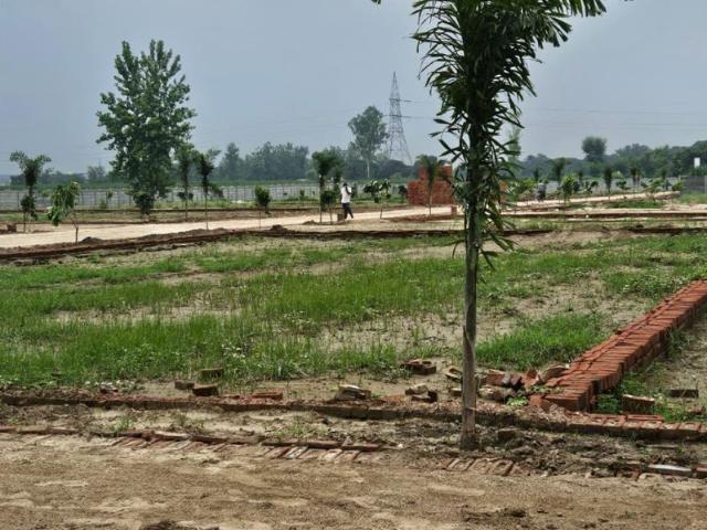 Land for sale in Jharli, Arunachal Pradesh