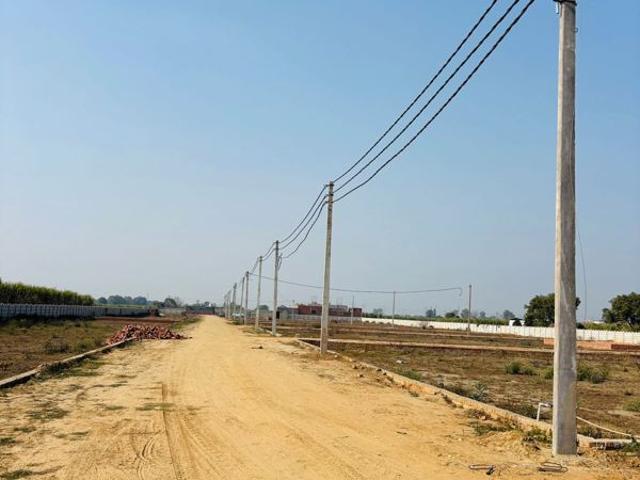 Land for sale in Jharli, Arunachal Pradesh